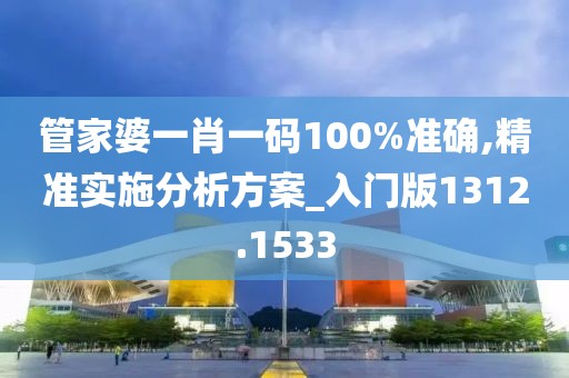 管家婆一肖一码100%准确,精准实施分析方案_入门版1312.1533