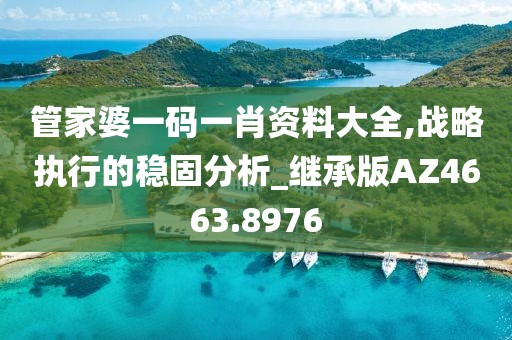 管家婆一码一肖资料大全,战略执行的稳固分析_继承版AZ4663.8976