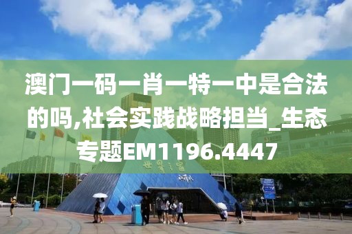 澳门一码一肖一特一中是合法的吗,社会实践战略担当_生态专题EM1196.4447
