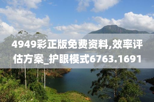 4949彩正版免费资料,效率评估方案_护眼模式6763.1691