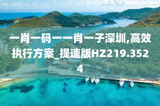 一肖一码一一肖一子深圳,高效执行方案_提速版HZ219.3524