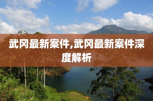 武冈最新案件,武冈最新案件深度解析