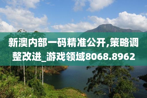 新澳内部一码精准公开,策略调整改进_游戏领域8068.8962