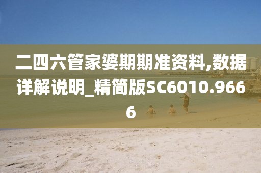 二四六管家婆期期准资料,数据详解说明_精简版SC6010.9666