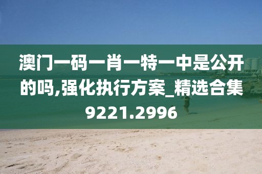 澳门一码一肖一特一中是公开的吗,强化执行方案_精选合集9221.2996