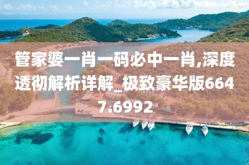 管家婆一肖一码必中一肖,深度透彻解析详解_极致豪华版6647.6992