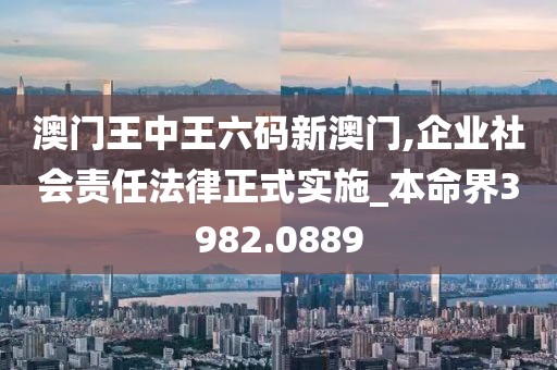 澳门王中王六码新澳门,企业社会责任法律正式实施_本命界3982.0889