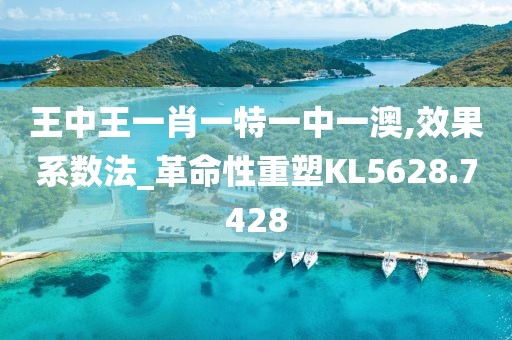王中王一肖一特一中一澳,效果系数法_革命性重塑KL5628.7428