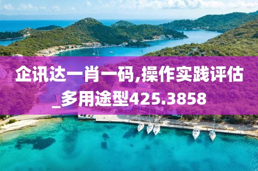企讯达一肖一码,操作实践评估_多用途型425.3858