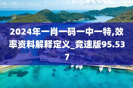 2024年一肖一码一中一特,效率资料解释定义_竞速版95.537