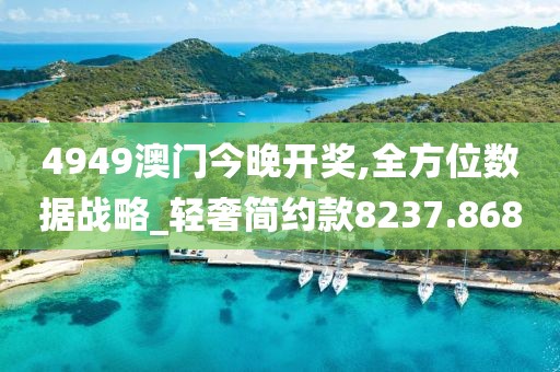4949澳门今晚开奖,全方位数据战略_轻奢简约款8237.868