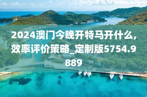 2024澳门今晚开特马开什么,效率评价策略_定制版5754.9889