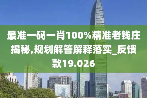 最准一码一肖100%精准老钱庄揭秘,规划解答解释落实_反馈款19.026