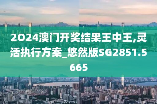 2O24澳门开奖结果王中王,灵活执行方案_悠然版SG2851.5665