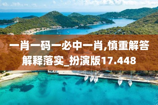 一肖一码一必中一肖,慎重解答解释落实_扮演版17.448