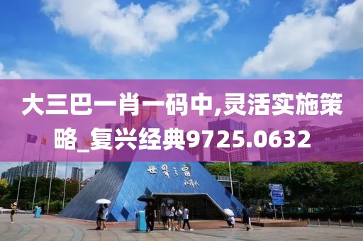 大三巴一肖一码中,灵活实施策略_复兴经典9725.0632