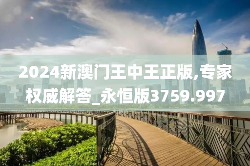2024新澳门王中王正版,专家权威解答_永恒版3759.997