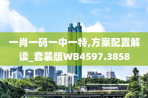 一肖一码一中一特,方案配置解读_套装版WB4597.3858
