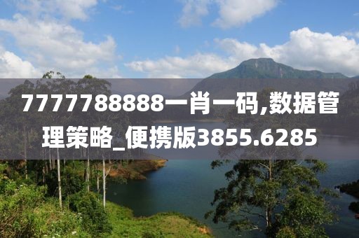 7777788888一肖一码,数据管理策略_便携版3855.6285