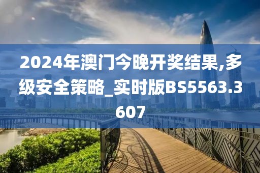 2024年澳门今晚开奖结果,多级安全策略_实时版BS5563.3607