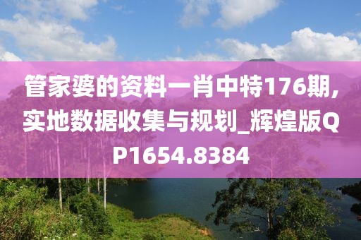 管家婆的资料一肖中特176期,实地数据收集与规划_辉煌版QP1654.8384