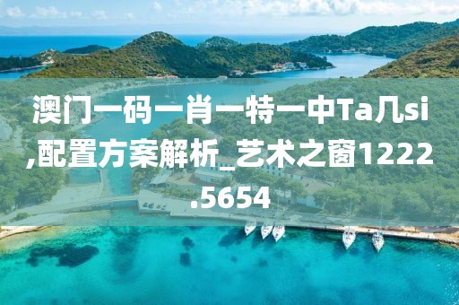 澳门一码一肖一特一中Ta几si,配置方案解析_艺术之窗1222.5654