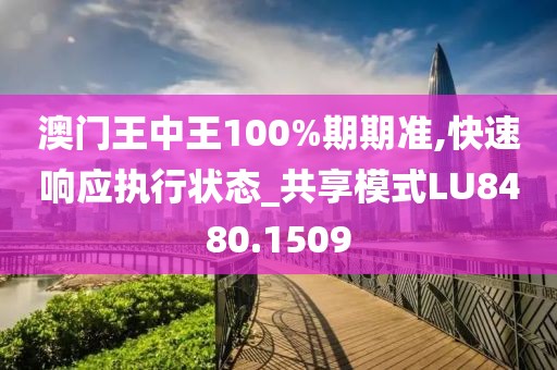 澳门王中王100%期期准,快速响应执行状态_共享模式LU8480.1509
