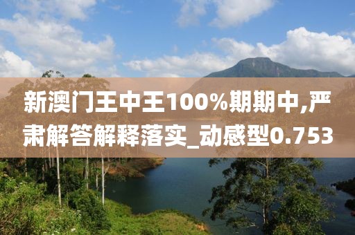 新澳门王中王100%期期中,严肃解答解释落实_动感型0.753