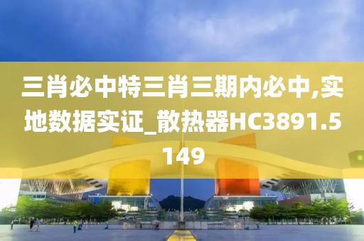 三肖必中特三肖三期内必中,实地数据实证_散热器HC3891.5149