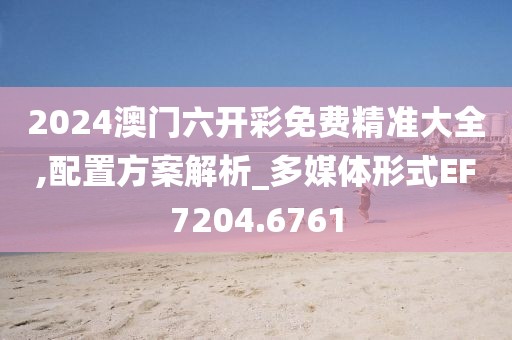 2024澳门六开彩免费精准大全,配置方案解析_多媒体形式EF7204.6761