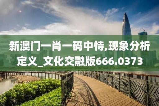 新澳门一肖一码中恃,现象分析定义_文化交融版666.0373