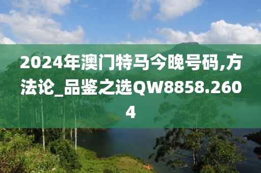 2024年澳门特马今晚号码,方法论_品鉴之选QW8858.2604