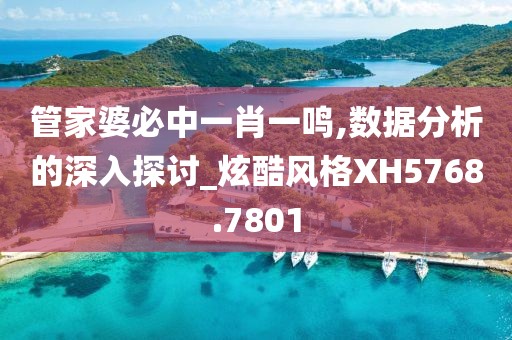 管家婆必中一肖一鸣,数据分析的深入探讨_炫酷风格XH5768.7801