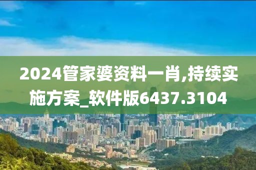 2024管家婆资料一肖,持续实施方案_软件版6437.3104