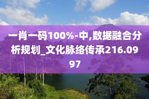 一肖一码100%-中,数据融合分析规划_文化脉络传承216.0997