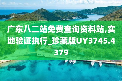 广东八二站免费查询资料站,实地验证执行_珍藏版UY3745.4379