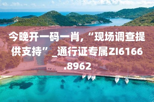 今晚开一码一肖,“现场调查提供支持”_通行证专属ZI6166.8962
