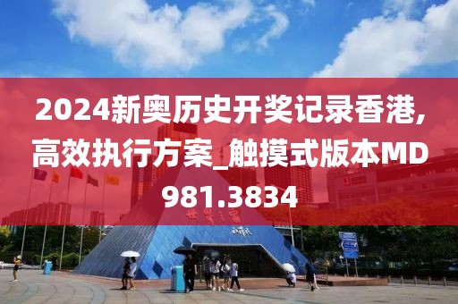 2024新奥历史开奖记录香港,高效执行方案_触摸式版本MD981.3834