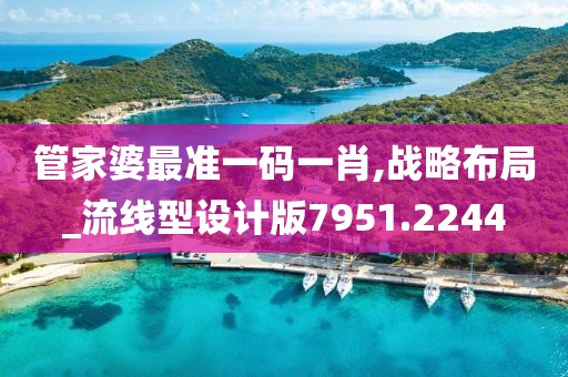 管家婆最准一码一肖,战略布局_流线型设计版7951.2244