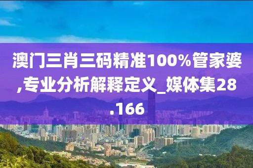 澳门三肖三码精准100%管家婆,专业分析解释定义_媒体集28.166