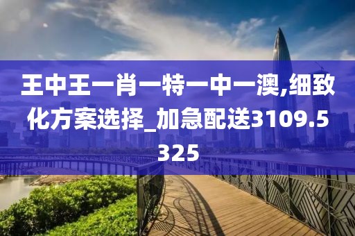 王中王一肖一特一中一澳,细致化方案选择_加急配送3109.5325