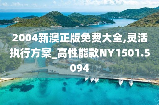 2004新澳正版免费大全,灵活执行方案_高性能款NY1501.5094
