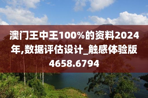 澳门王中王100%的资料2024年,数据评估设计_触感体验版4658.6794