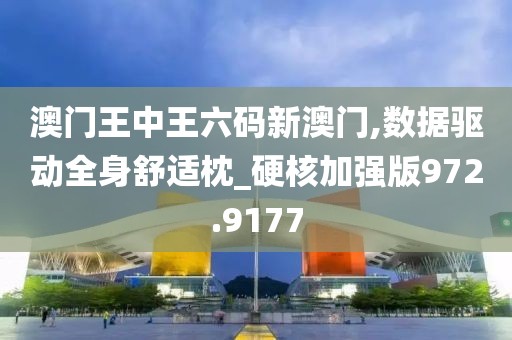 澳门王中王六码新澳门,数据驱动全身舒适枕_硬核加强版972.9177