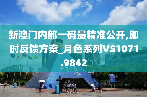 新澳门内部一码最精准公开,即时反馈方案_月色系列VS1071.9842