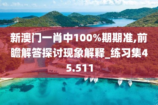 新澳门一肖中100%期期准,前瞻解答探讨现象解释_练习集45.511