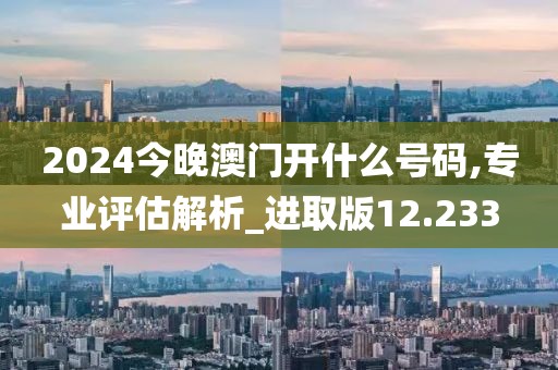 2024今晚澳门开什么号码,专业评估解析_进取版12.233