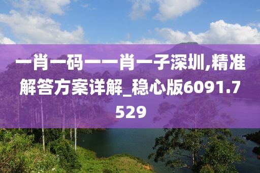 一肖一码一一肖一子深圳,精准解答方案详解_稳心版6091.7529