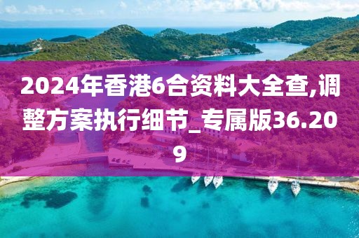2024年香港6合资料大全查,调整方案执行细节_专属版36.209