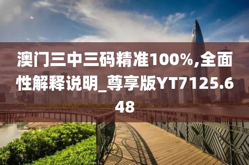 澳门三中三码精准100%,全面性解释说明_尊享版YT7125.648
